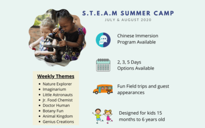 S.T.E.A.M Summer Camp 2020