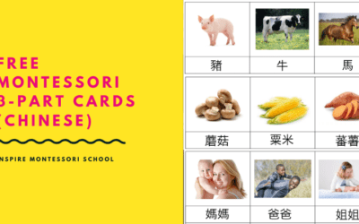 COVID-19 Free Montessori Resources: 3-part cards (Chinese)