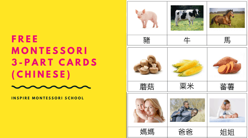 COVID-19 Free Montessori Resources: 3-part cards (Chinese)
