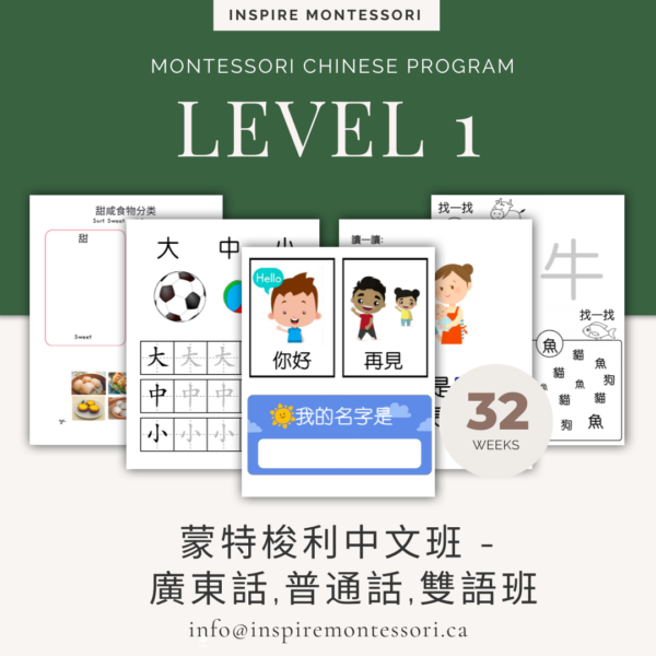 IMS Montessori Chinese Markham Level 1
