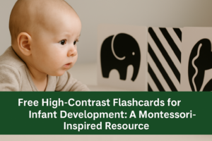 Inspire Montessori Markham Daycare Flashcards Infant