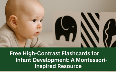 Inspire Montessori Markham High-Contrast Flashcards for Infant Development